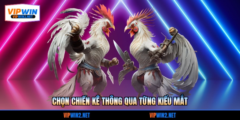 Chọn chiến kê thông qua từng kiểu mắt