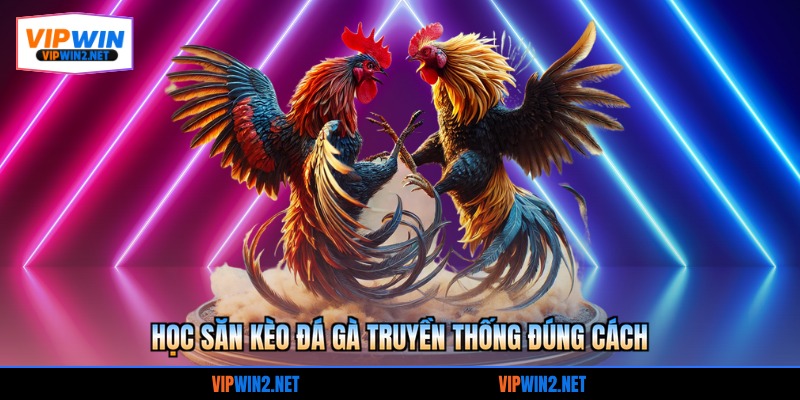 Học săn kèo đá gà truyền thống đúng cách