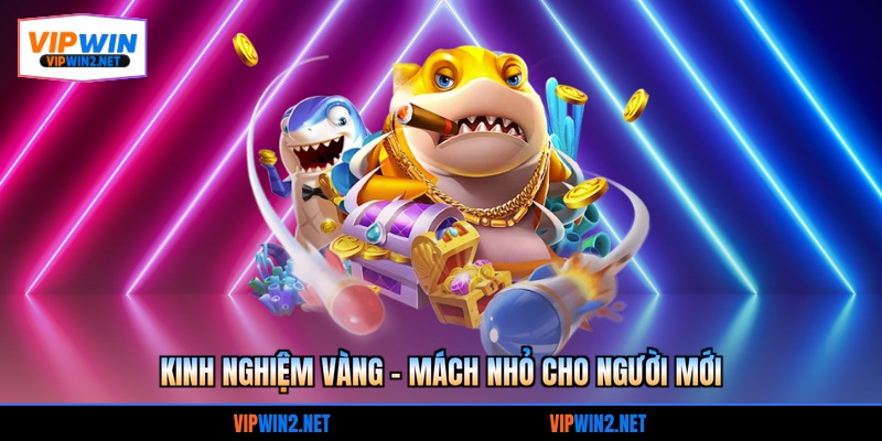 Kinh nghiệm vàng - Mách nhỏ cho người mới