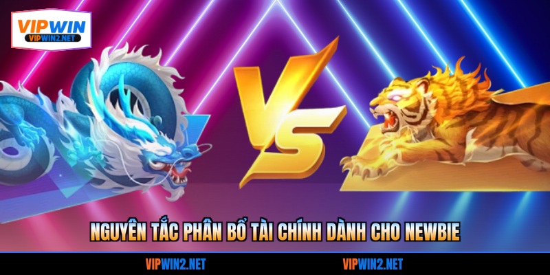 Nguyên tắc phân bổ tài chính dành cho newbie