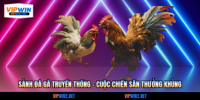 Đá gà truyền thống